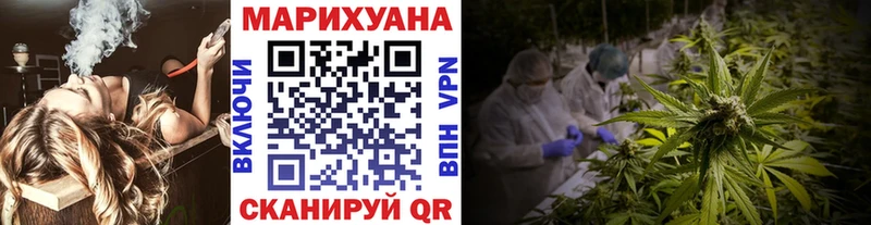 Марихуана план  Купить закладки  Болотное 